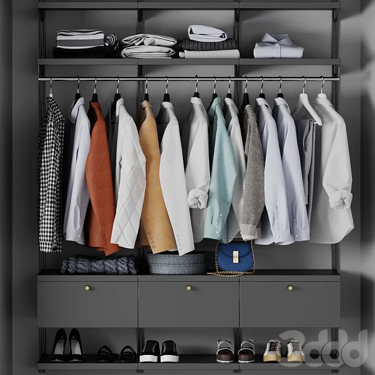 Wardrobe, wall module, clothing